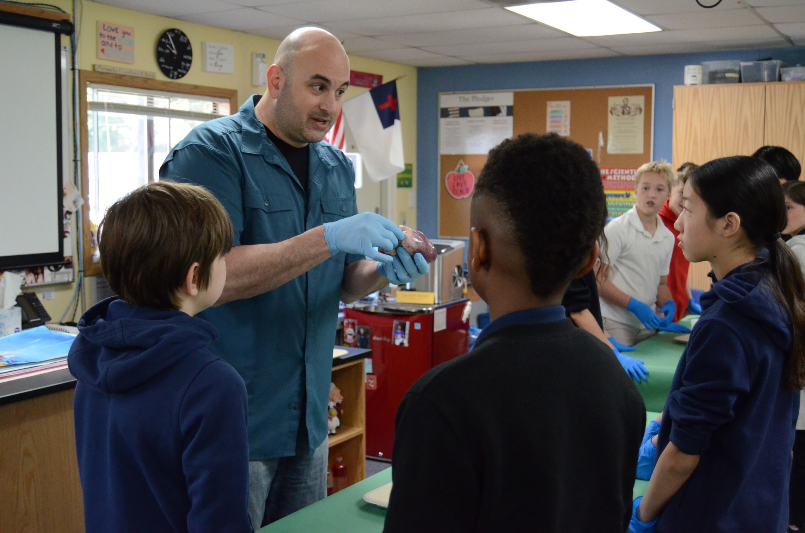 6th grade heart dissections 05.17.2024 (12)